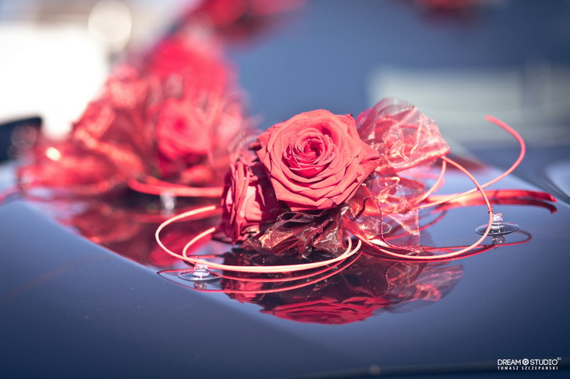 Kwiaciarnia Magnolia 60